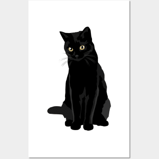 Black Cat Posters and Art